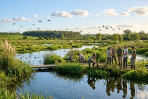 recuperación del medio ambiente